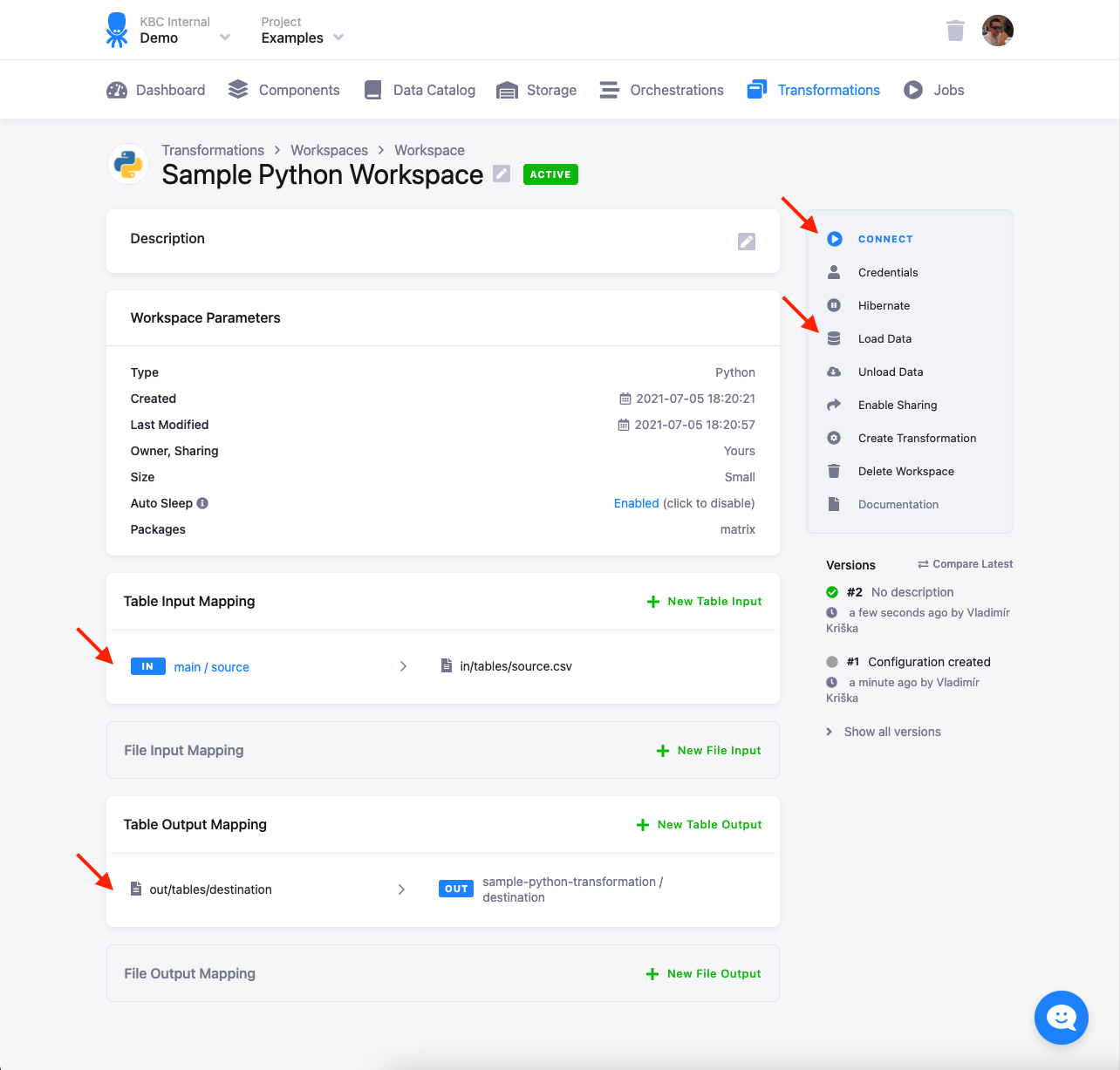 A Python workspace with input/output mapping and the Connect and Load Data actions highlighted